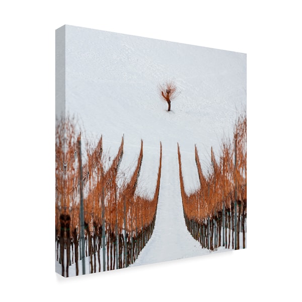 Jure Kravanja 'Single Tree In Winter' Canvas Art,18x18